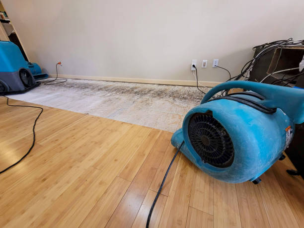 Professional Flood Damage Cleanup technician working in Dobbs Ferry, NY